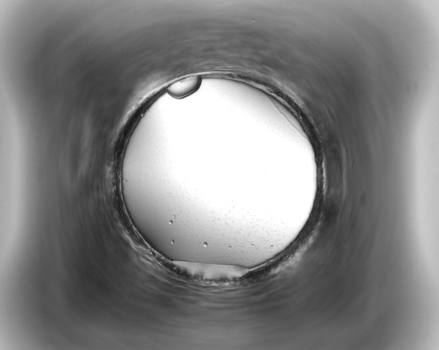 X0000087051501200705021146