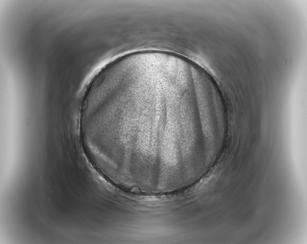 X0000087051504200705021146