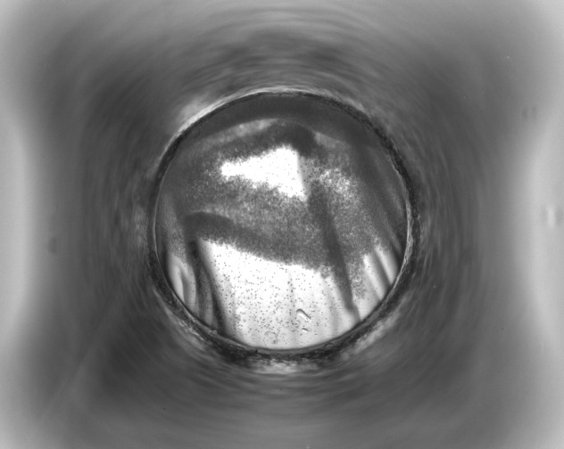 X0000087051505200705021146