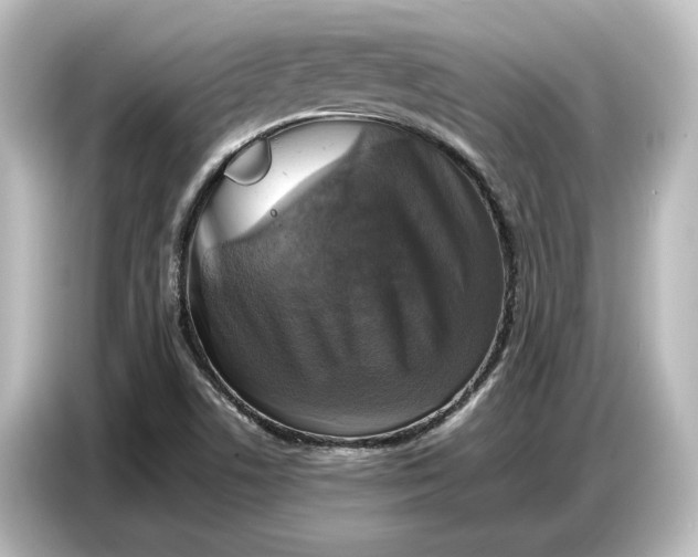 X0000087051506200705021146