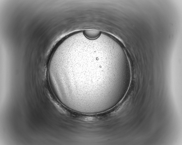 X0000087051507200705021146