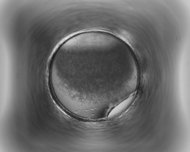 X0000087051508200705021146