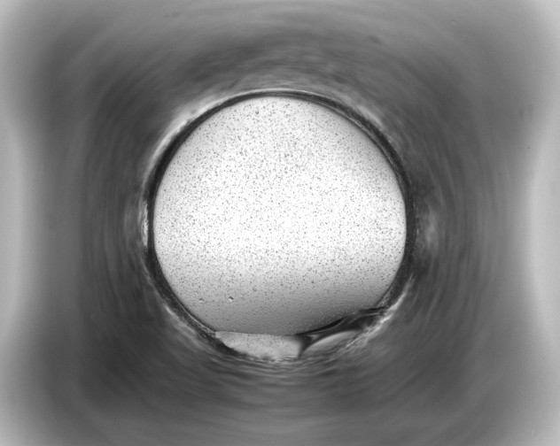 X0000087051509200705021146