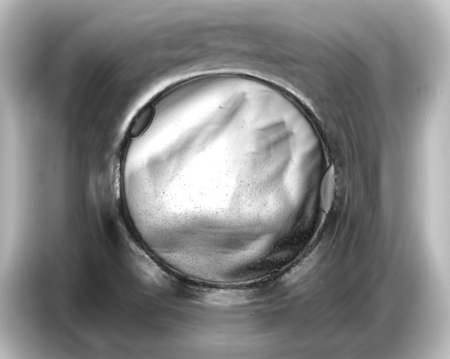 X0000087051510200705021146