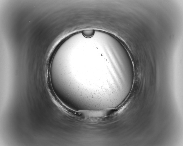 X0000087051511200705021146