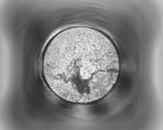 X0000087051514200705021146