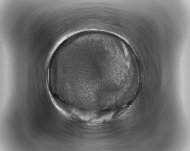 X0000087051515200705021146