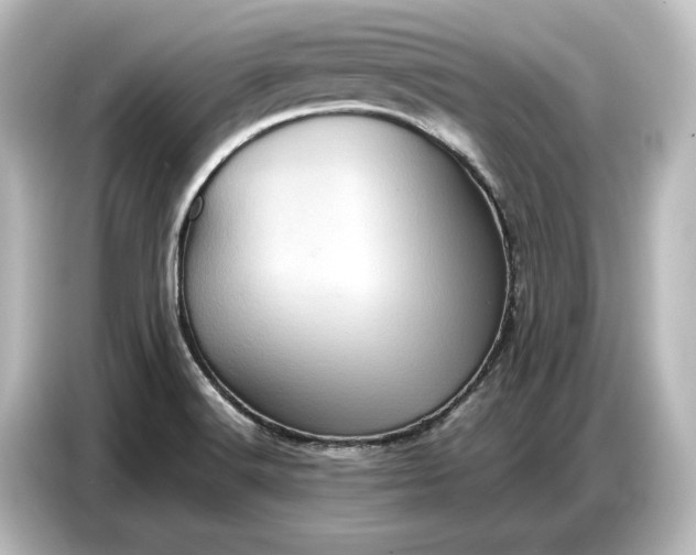 X0000087051516200705021146