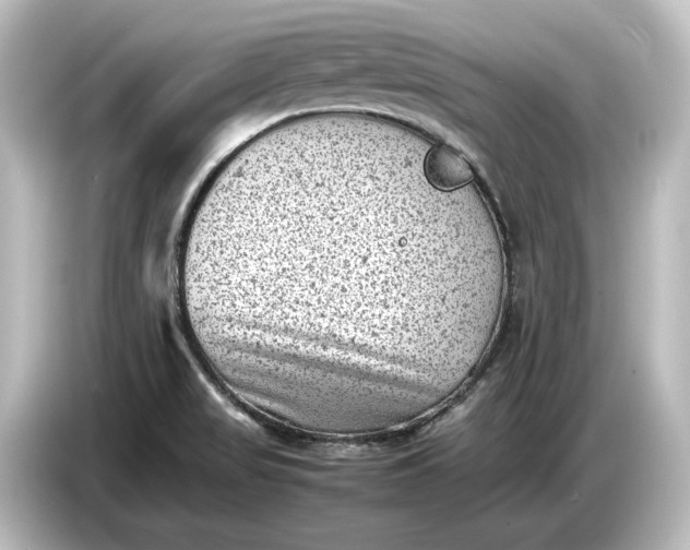 X0000087051517200705021146