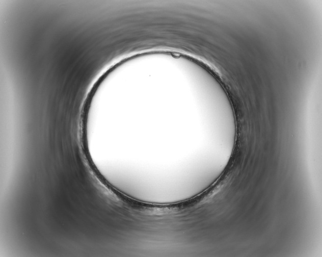 X0000087051518200705021146