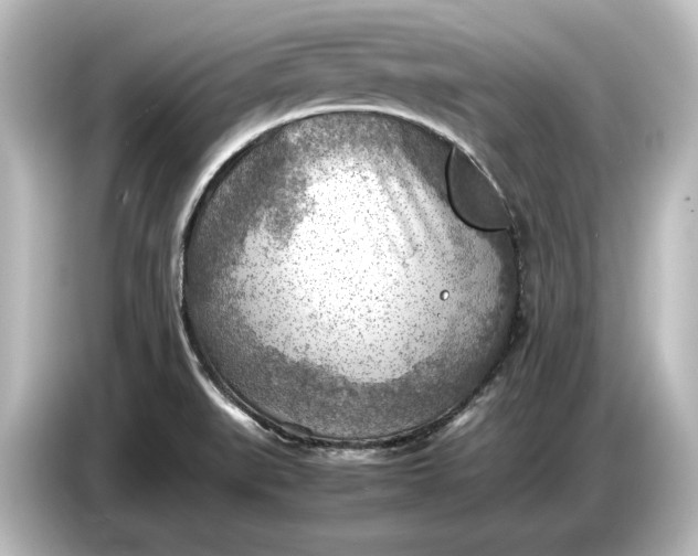 X0000087051519200705021146