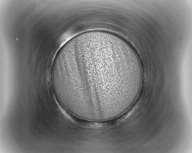 X0000087051521200705021146