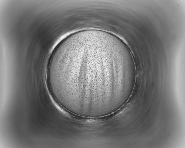 X0000087051523200705021146