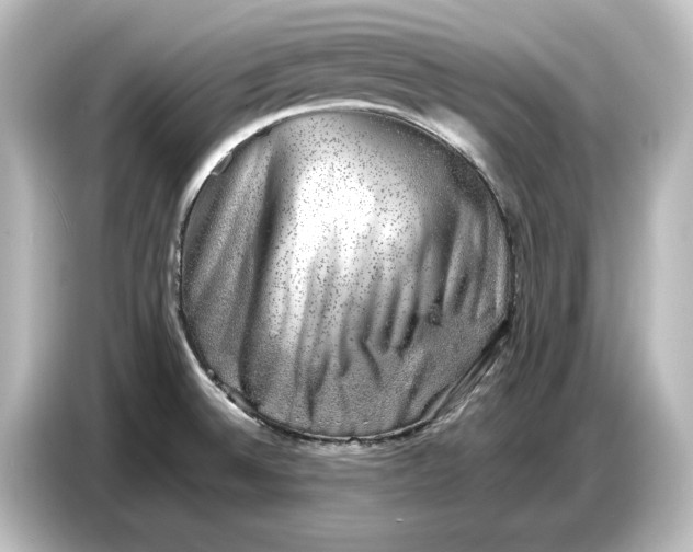 X0000087051524200705021146