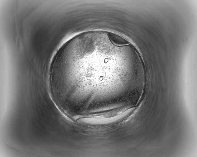 X0000087051525200705021146