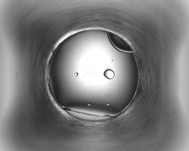 X0000087051526200705021146