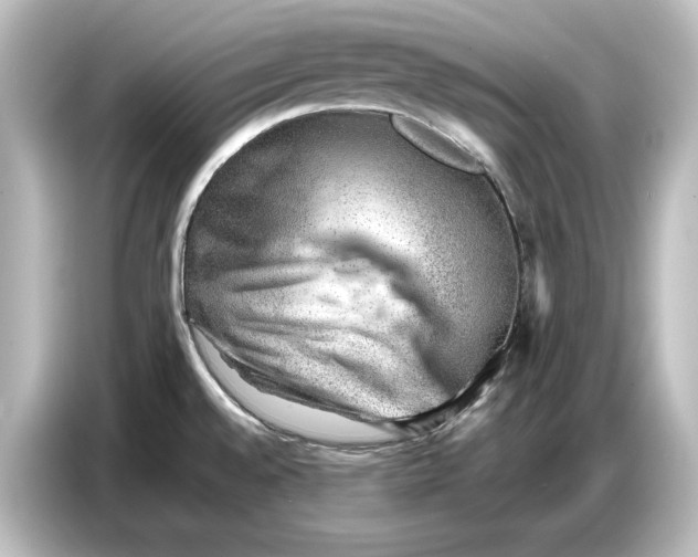 X0000087051528200705021146