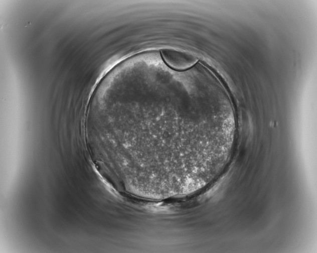 X0000087051529200705021146