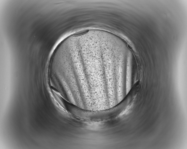 X0000087051530200705021146