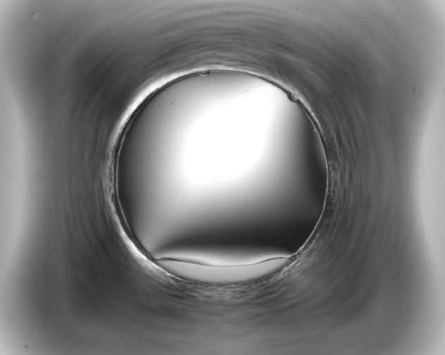 X0000087051531200705021146