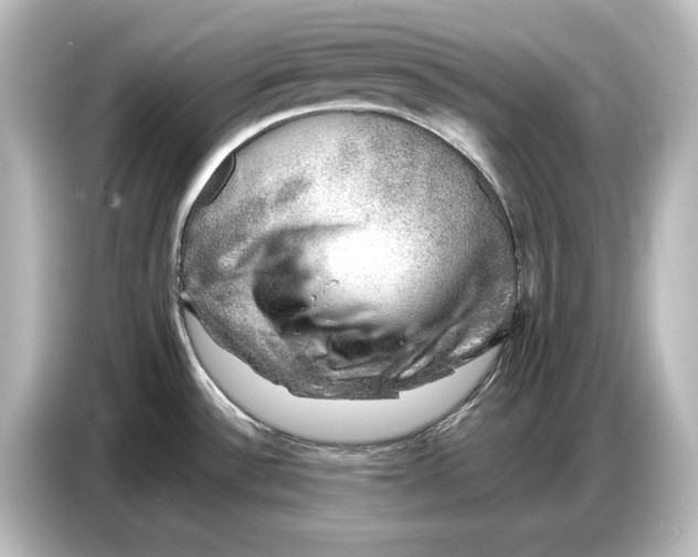 X0000087051532200705021146