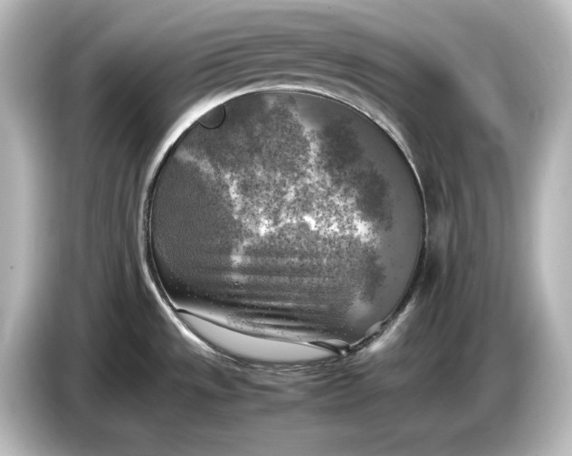 X0000087051533200705021146