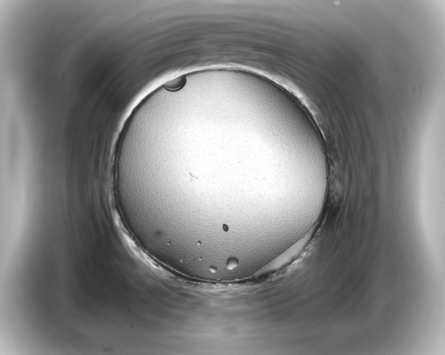 X0000087051534200705021146