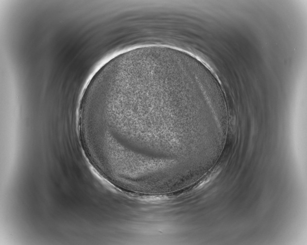 X0000087051535200705021146