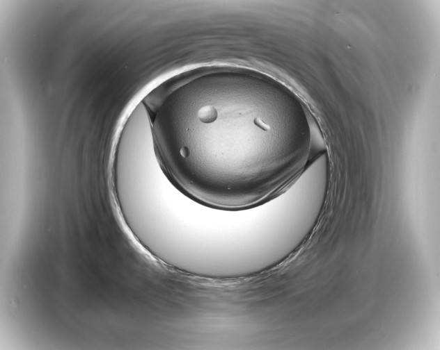 X0000087051536200705021146