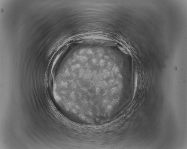 X0000087050002200705091147