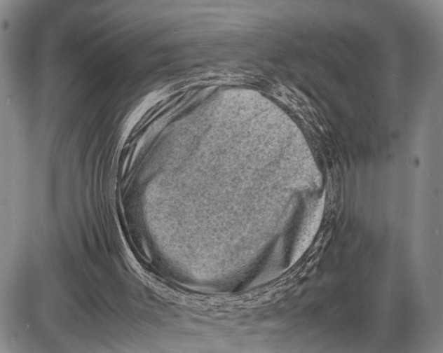 X0000087050003200705091147