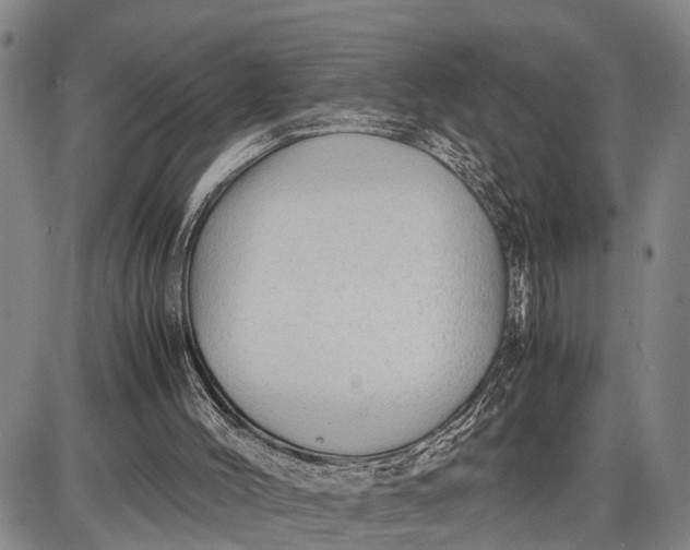 X0000087050004200705091147