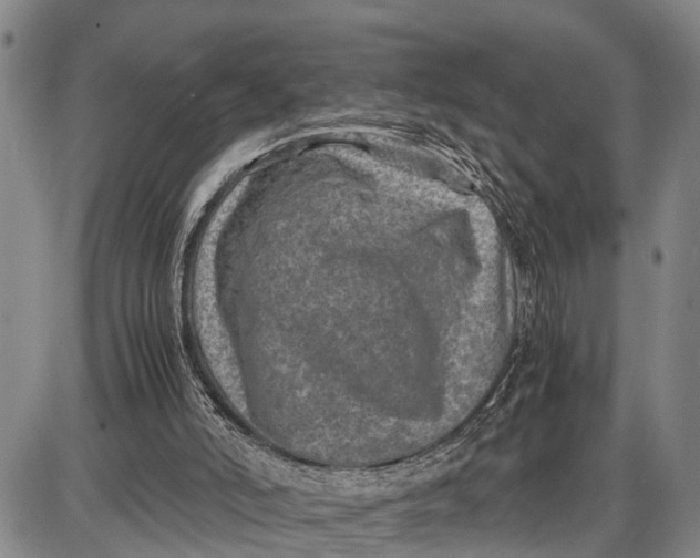 X0000087050006200705091147