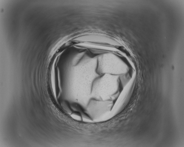 X0000087050007200705091147