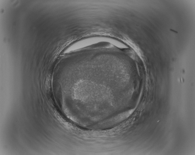 X0000087050009200705091147