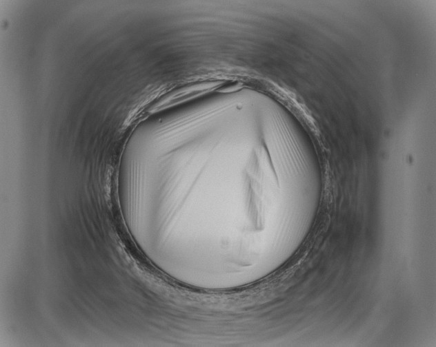 X0000087050010200705091147