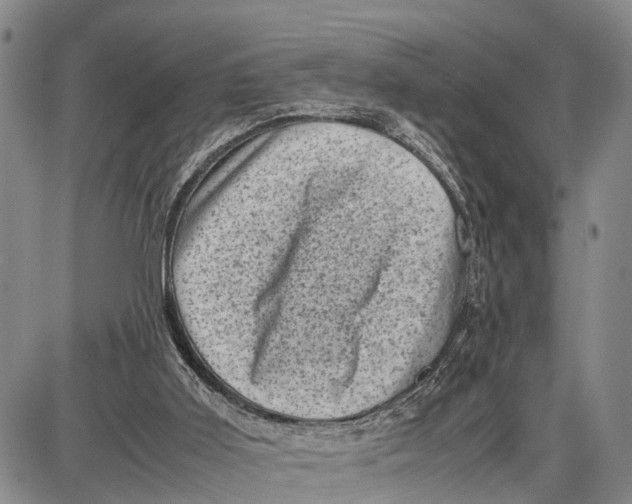 X0000087050011200705091147