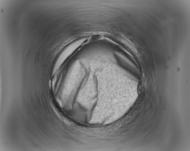 X0000087050013200705091147