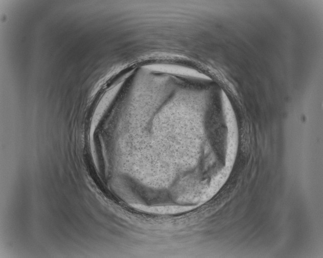 X0000087050015200705091147