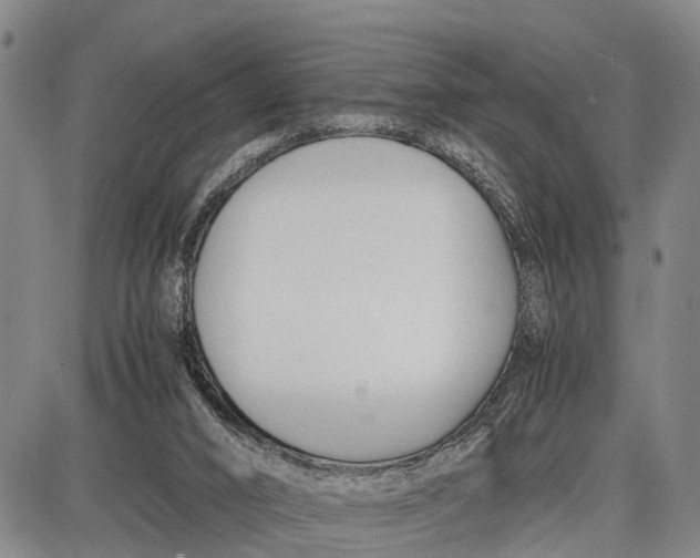 X0000087050016200705091147