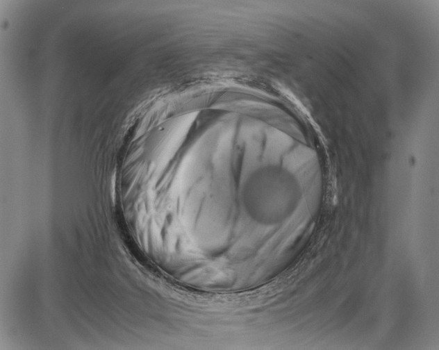 X0000087050019200705091147