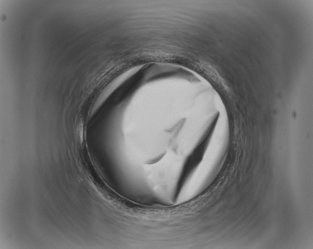 X0000087050021200705091147