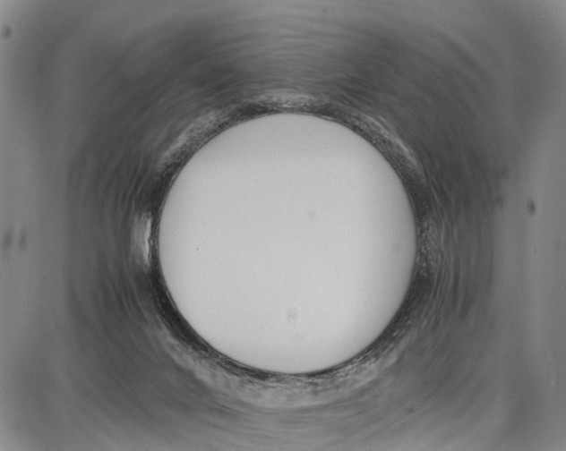 X0000087050024200705091147