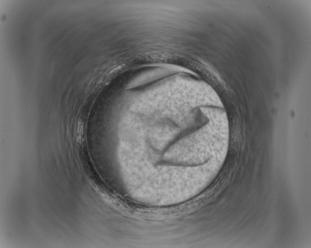 X0000087050025200705091147