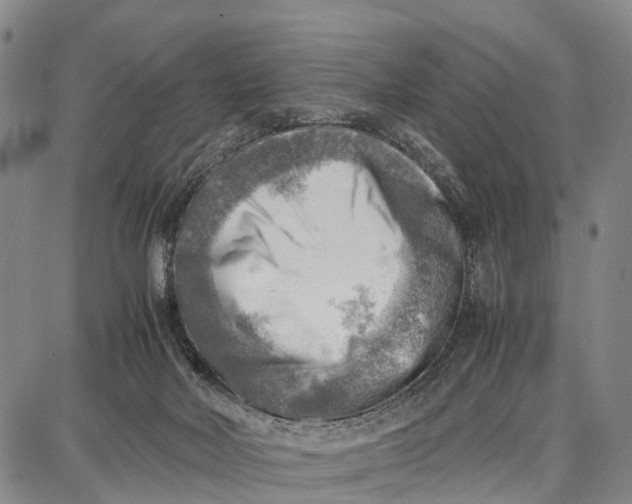 X0000087050026200705091147