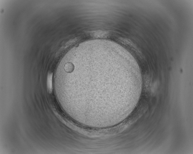 X0000087050028200705091147