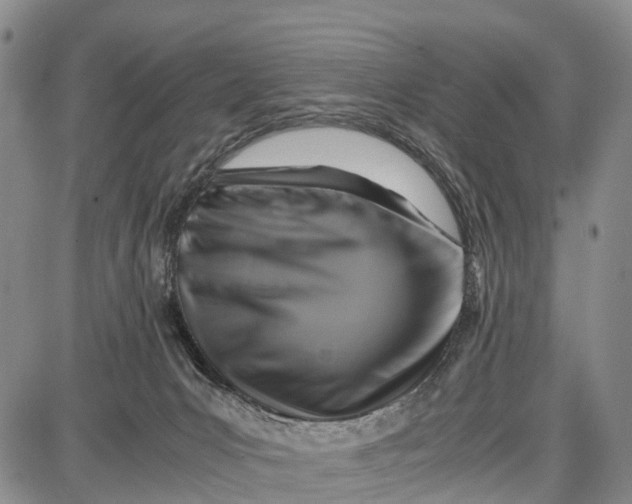 X0000087050031200705091147