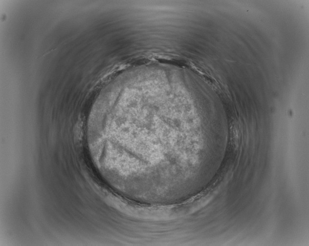 X0000087050032200705091147