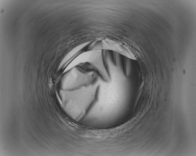 X0000087050033200705091147