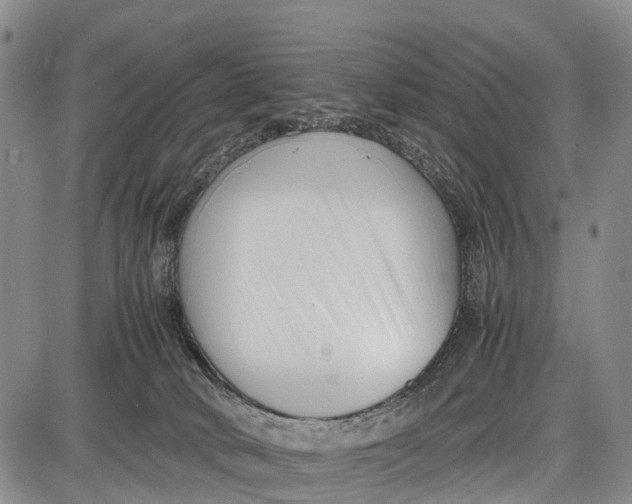 X0000087050034200705091147